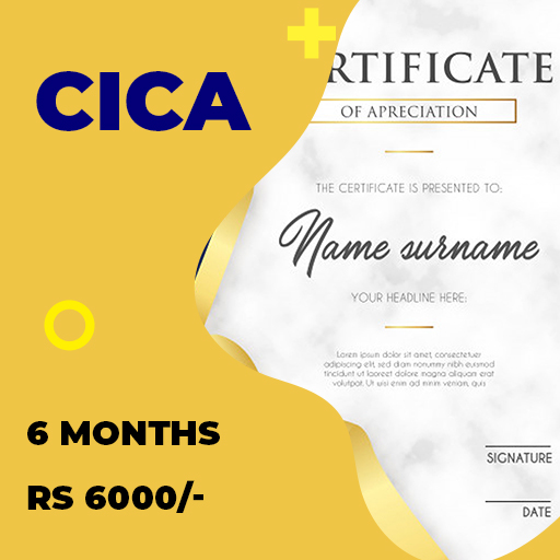Certificate In Computer Application